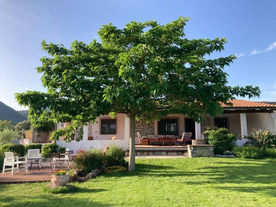 Countryside Villa In Sardinia Triei Exterior photo