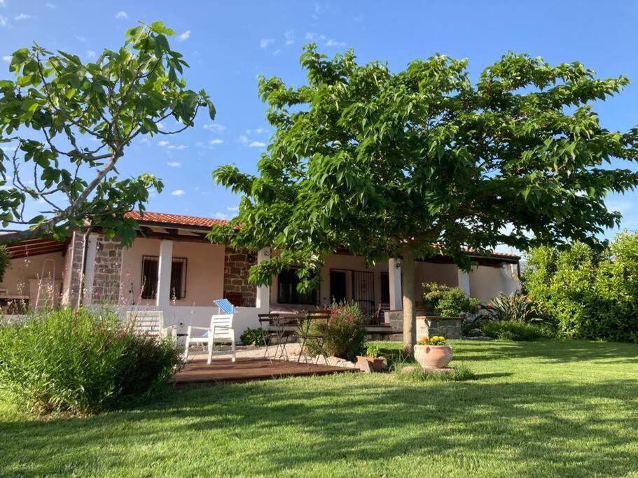 Countryside Villa In Sardinia Triei Exterior photo